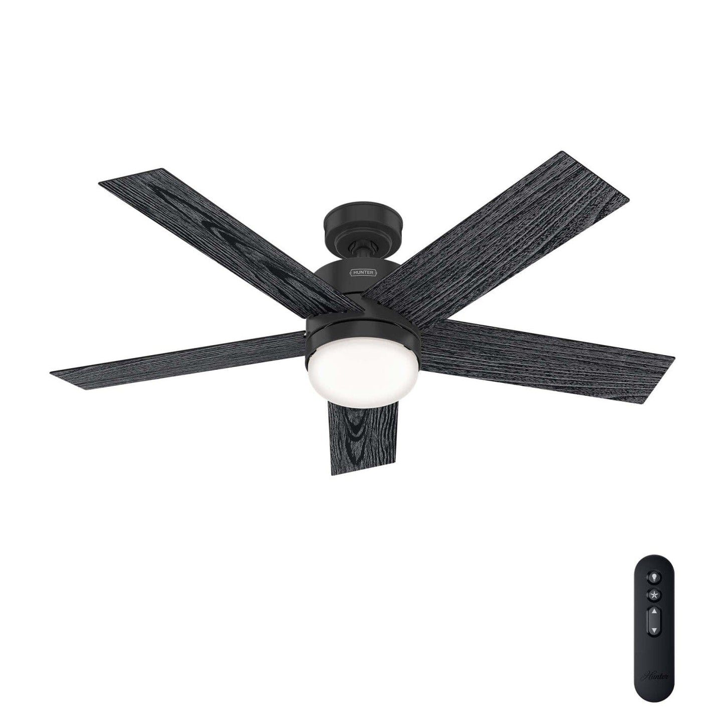 Interface with LED Light 52 Inch-Smart Ceiling Fans Hunter Matte Black - Salted Black 