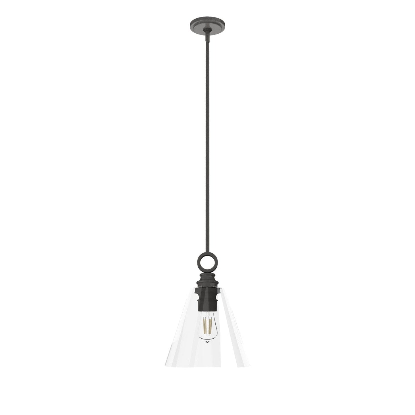 Klein 1 Light Glass Pendant 12 inch Lighting Hunter Noble Bronze - Clear 