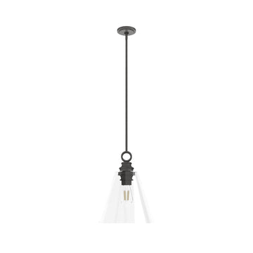 Klein 1 Light Glass Pendant 14 inch Lighting Hunter Noble Bronze - Clear 