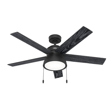 Lilliput OD with LED light 52 inch Ceiling Fans Hunter Matte Black - Salted Black 