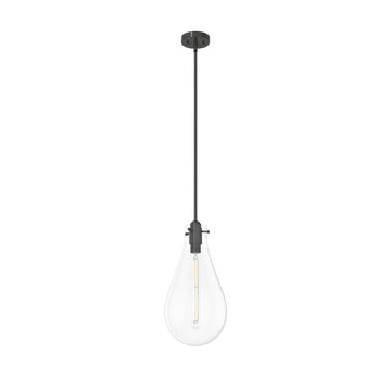 Lundin 1 Light Pendant 11 inch Lighting Hunter Noble Bronze - Clear 